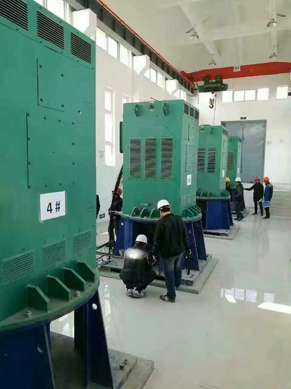 贵州某污水处理厂使用我厂的立式高压电机安装现场安装尺寸