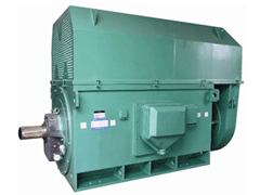 贵州Y系列6KV高压电机生产厂家